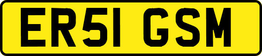 ER51GSM