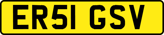 ER51GSV