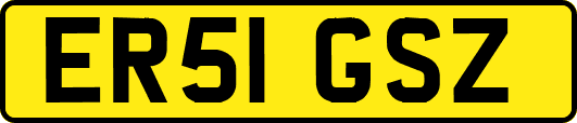 ER51GSZ