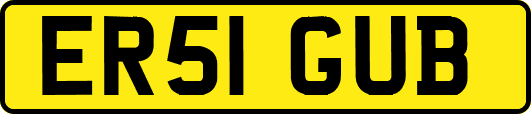 ER51GUB