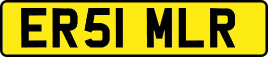 ER51MLR