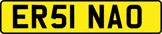 ER51NAO