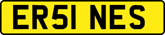 ER51NES