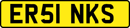 ER51NKS