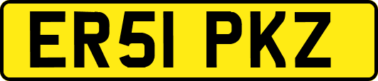 ER51PKZ