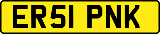 ER51PNK