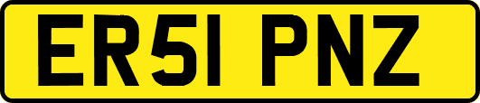 ER51PNZ