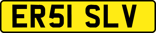 ER51SLV