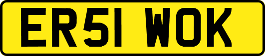 ER51WOK