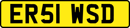 ER51WSD