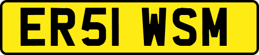ER51WSM