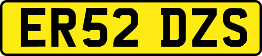 ER52DZS