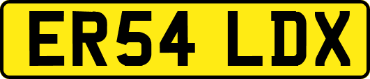 ER54LDX