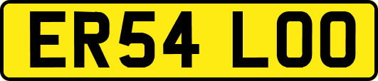 ER54LOO