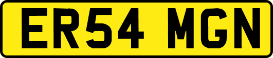 ER54MGN