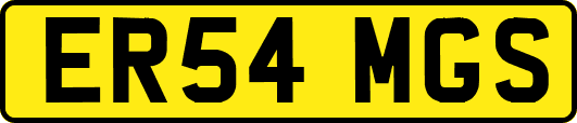 ER54MGS