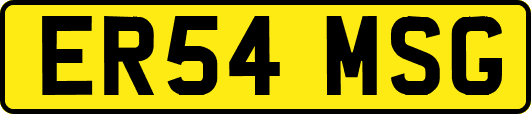 ER54MSG
