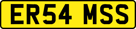 ER54MSS