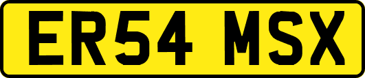 ER54MSX