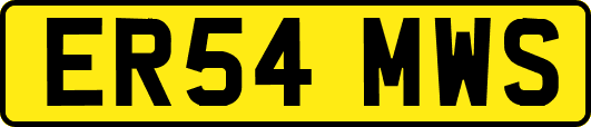 ER54MWS