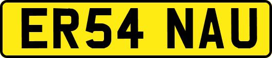 ER54NAU