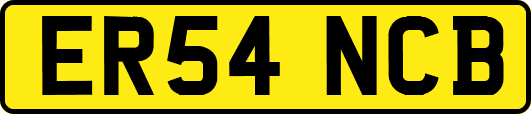 ER54NCB