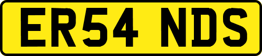 ER54NDS