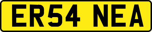 ER54NEA