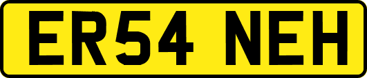 ER54NEH
