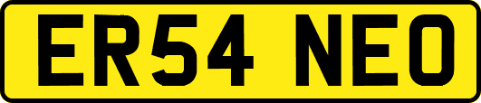 ER54NEO