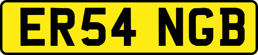 ER54NGB