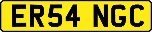 ER54NGC