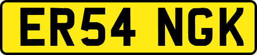 ER54NGK