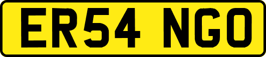 ER54NGO