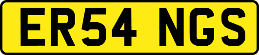 ER54NGS