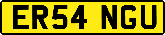 ER54NGU