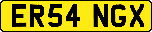 ER54NGX