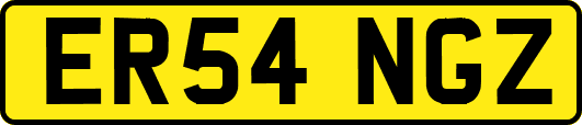 ER54NGZ