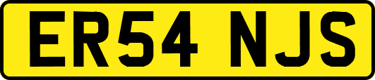 ER54NJS