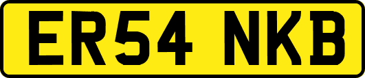 ER54NKB