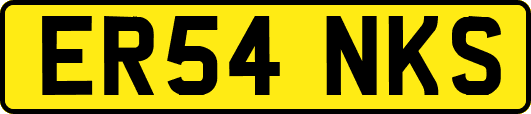 ER54NKS