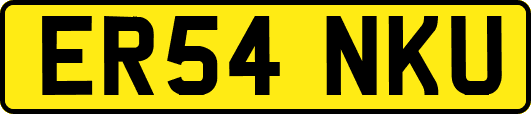 ER54NKU