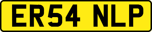 ER54NLP