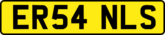 ER54NLS