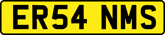 ER54NMS