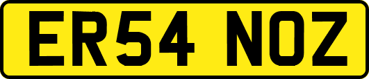 ER54NOZ