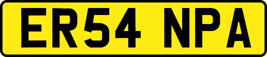 ER54NPA