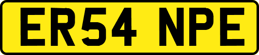 ER54NPE