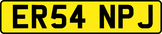 ER54NPJ