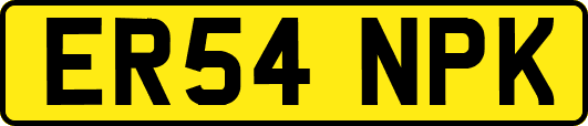 ER54NPK
